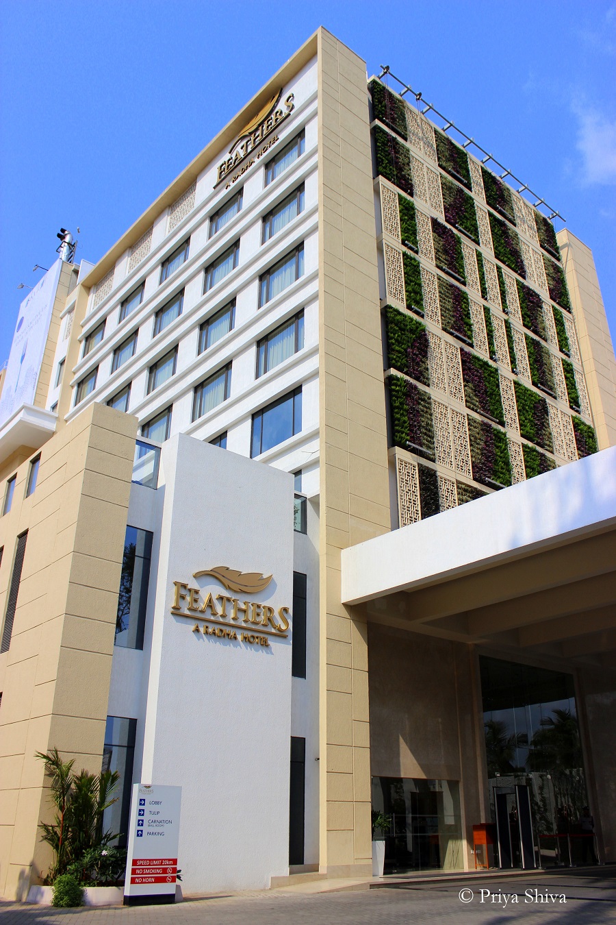 Feathers hotel Chennai